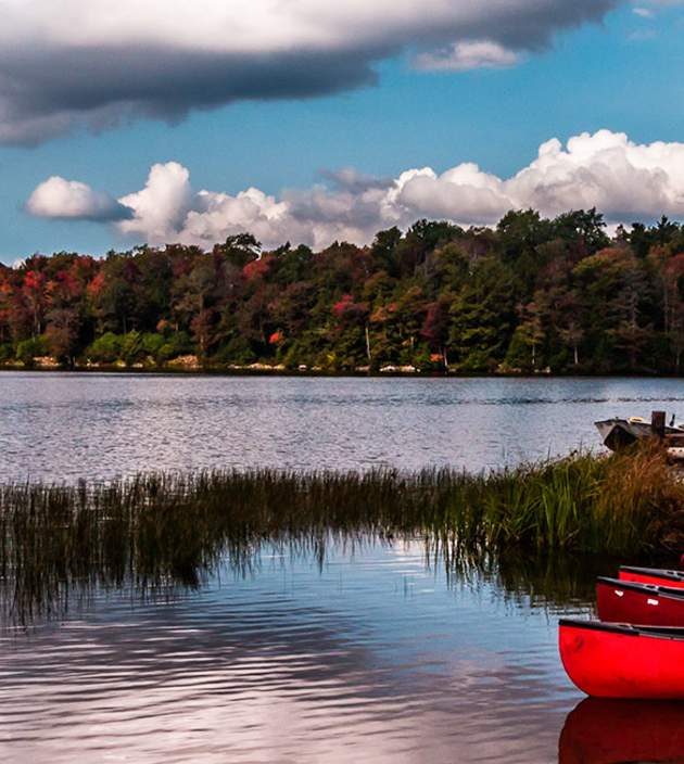 Ricketts Glen State Park