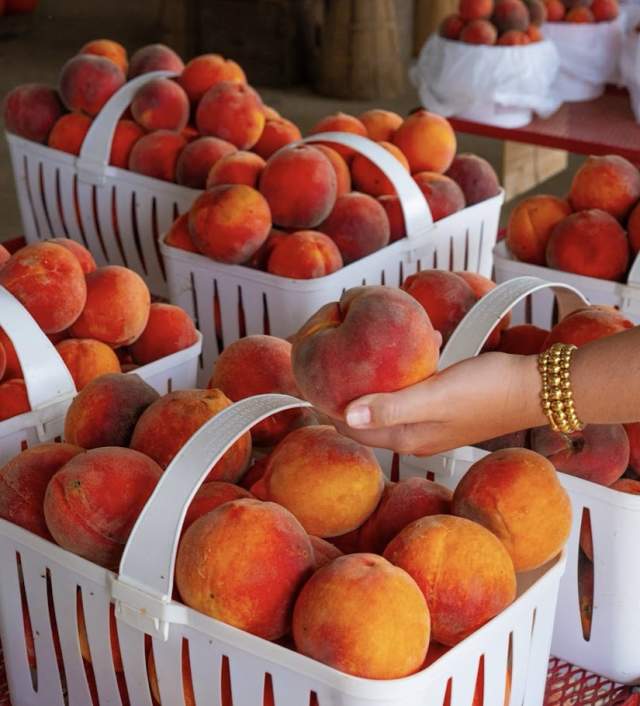 Strawberry Hill USA PC: Wayne Waweru, Fithwood Media