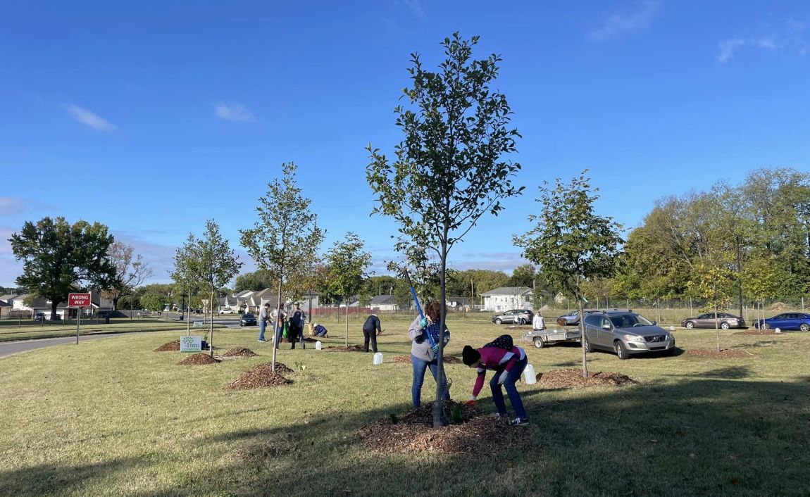 Tree Planting