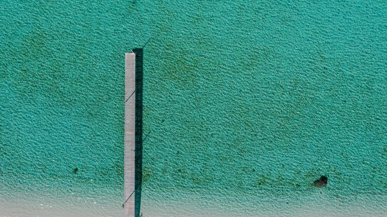 External Featured Image