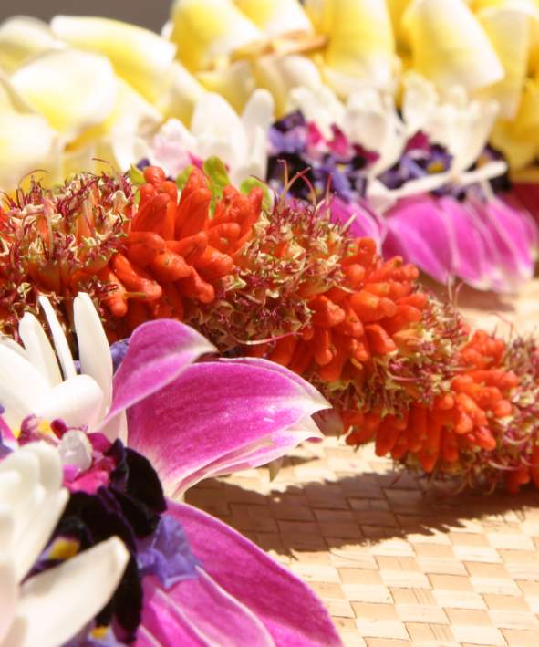 Close up of lei