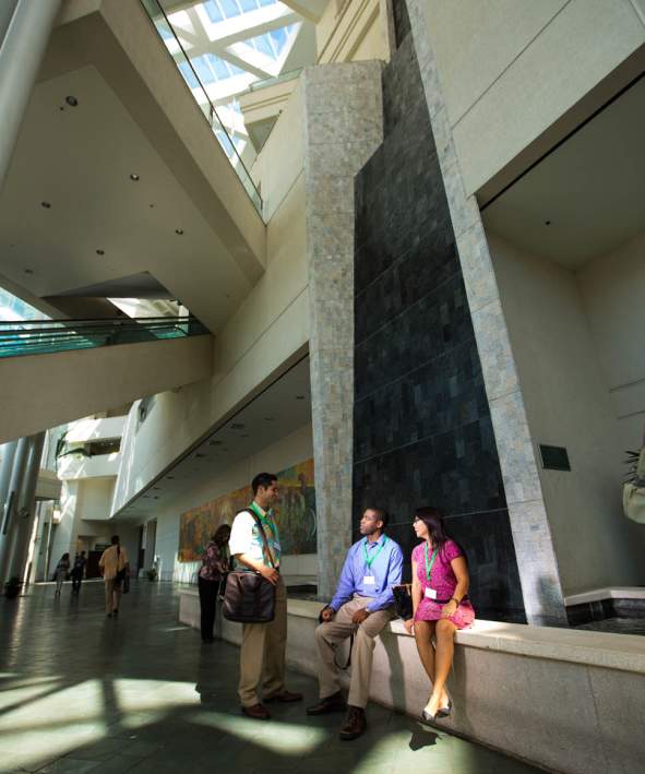 HCC Lobby Waterfall