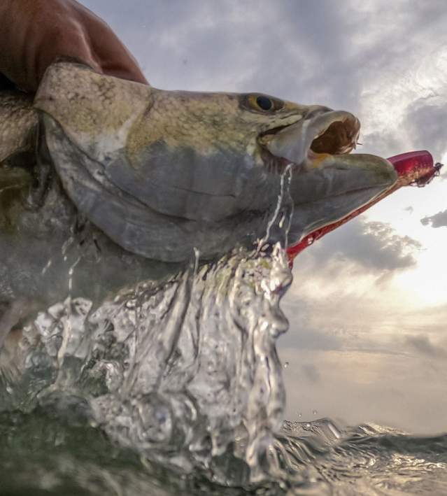 bay fishing