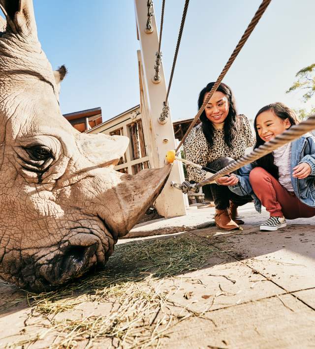 Mom and daughter petting a rhino at Utah's Hogle Zoo