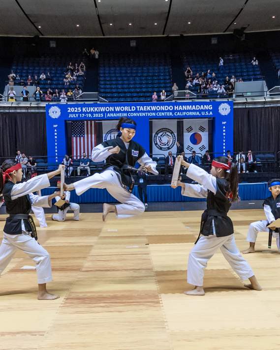 Taekwondo
