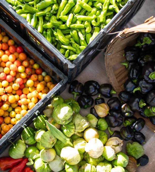 Texas farmers market
