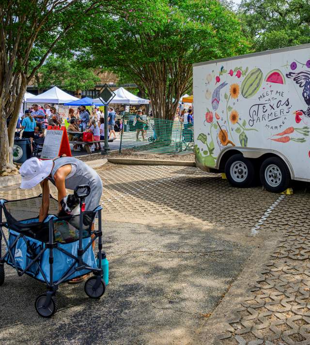 Events: 🥉 3rd Place: "Meet and Eat" by Khanh Le