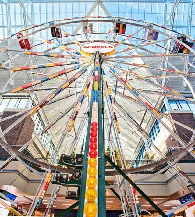 SCHEELS FERRIS