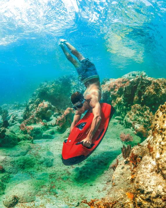 Unique Water Adventures You Need to Try in Greater Fort Lauderdale