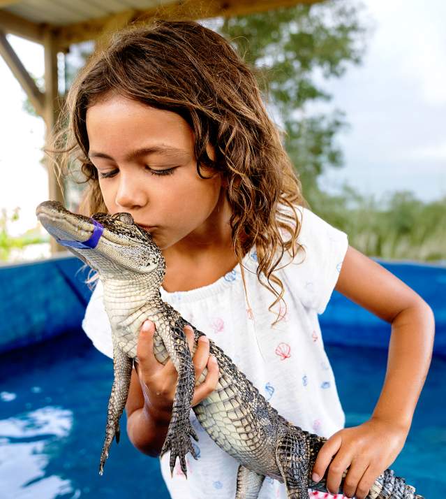 Young girl holding baby alligator