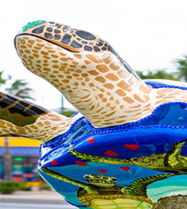 Sea Turtle Art Trail
