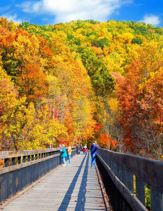 Fall at Ohiopyle