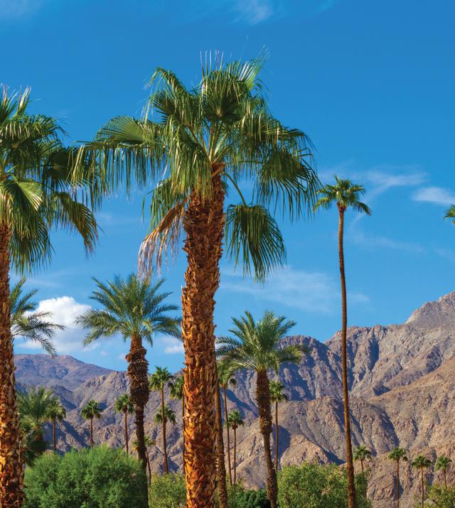 Travel: Palm Springs Weekend - Easy Reader News