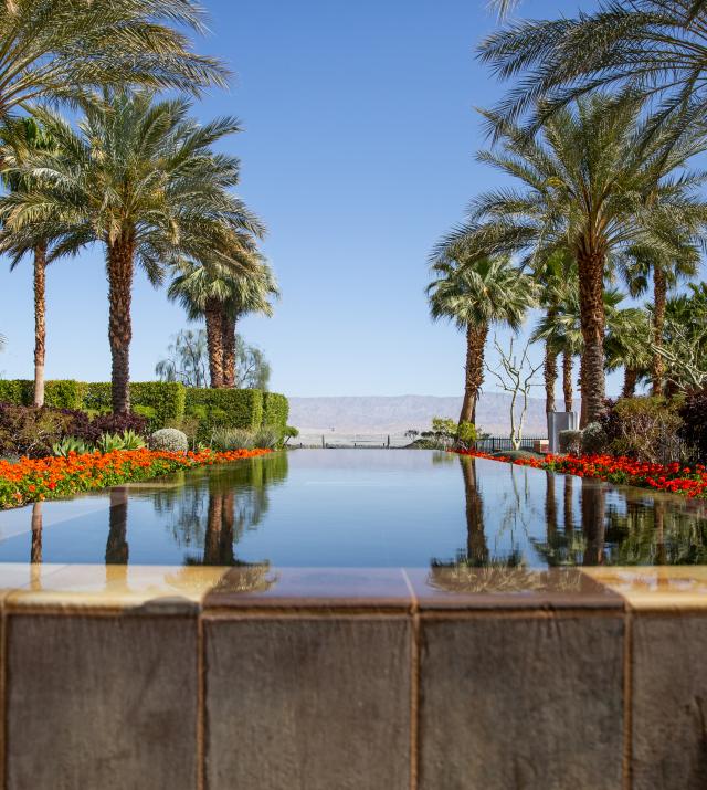 English) Palm Springs & Joshua Tree  5 cool things & more not to miss /  art / hotel
