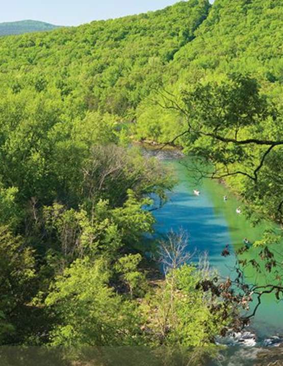 Mulberry River Fishing