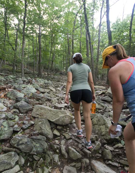 Take a Hike! 10 Destinations in Frederick County for Hiking Enthusiasts