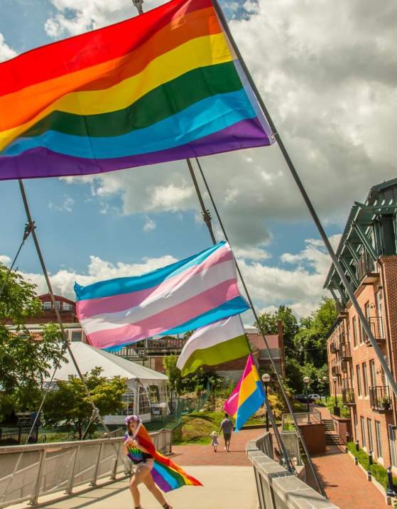 Pride flags on Carroll Creek