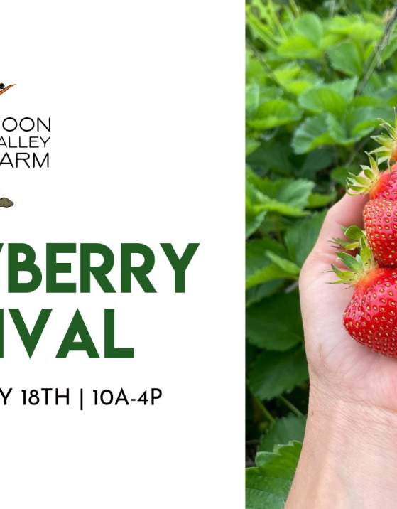 Moon Valley Farm Strawberry Festival!
