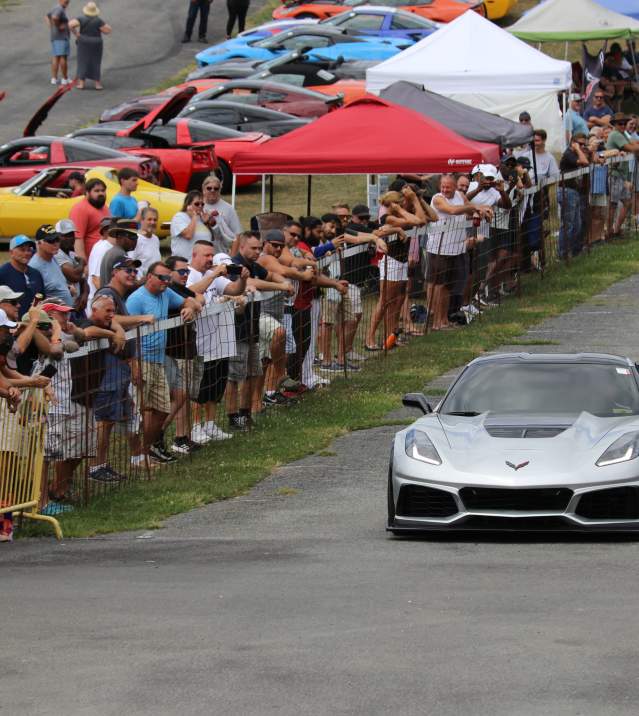 Corvettes at Carlisle