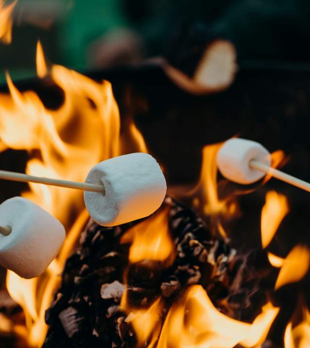 Smores Camping Unsplash