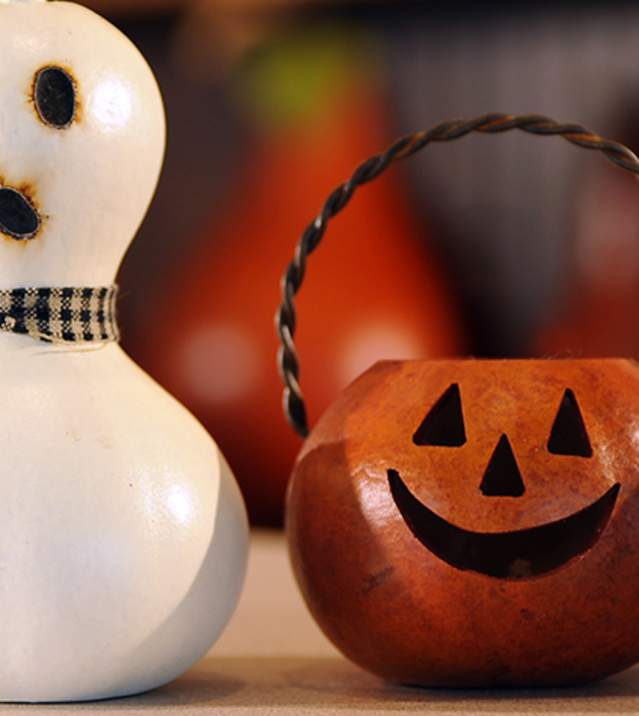 Meadowbrooke Gourds 36