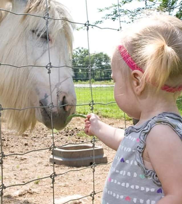 Kid Friendly Activities In The Cumberland Valley
