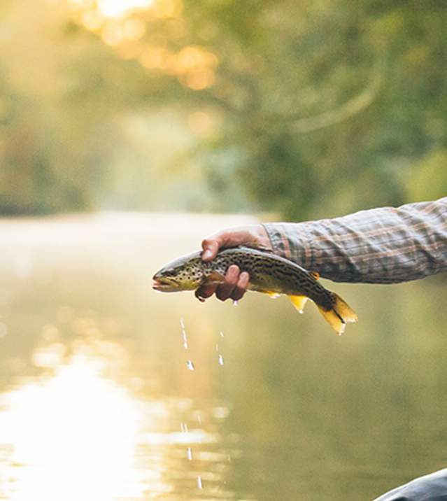 Man Holding Up Caught Fish With Friend in Background in Cumberland Valley