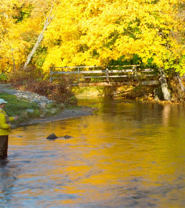 Top 10 Fishing Locations in Cumberland Valley