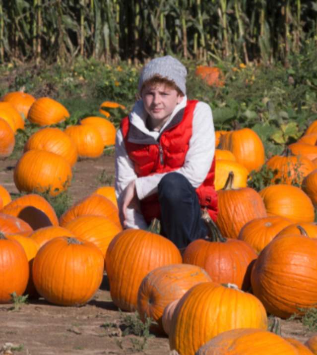 pumpkin patch patchogue