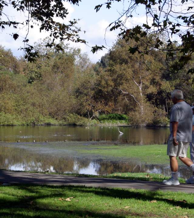Central Park