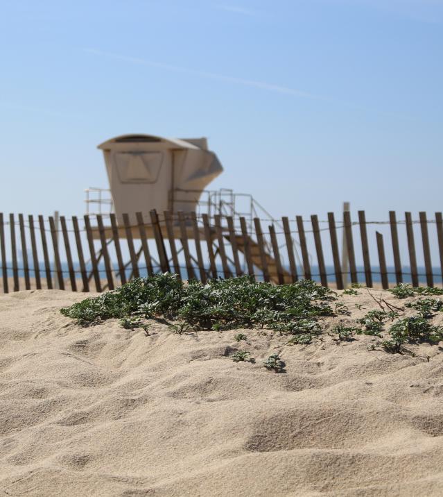 Bolsa Chica State Beach