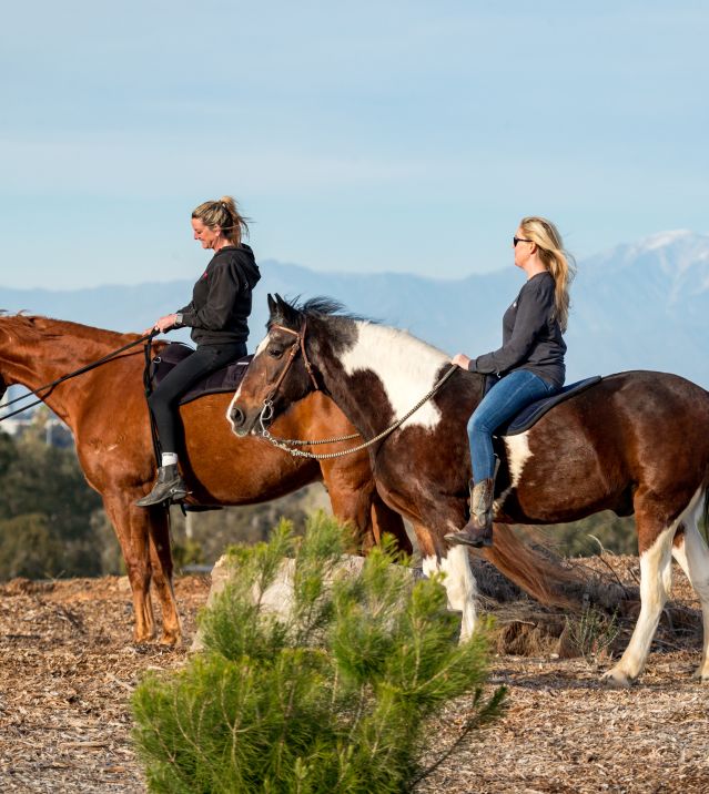 Horseback Riding Huntington Beach | Image of girl on a horse