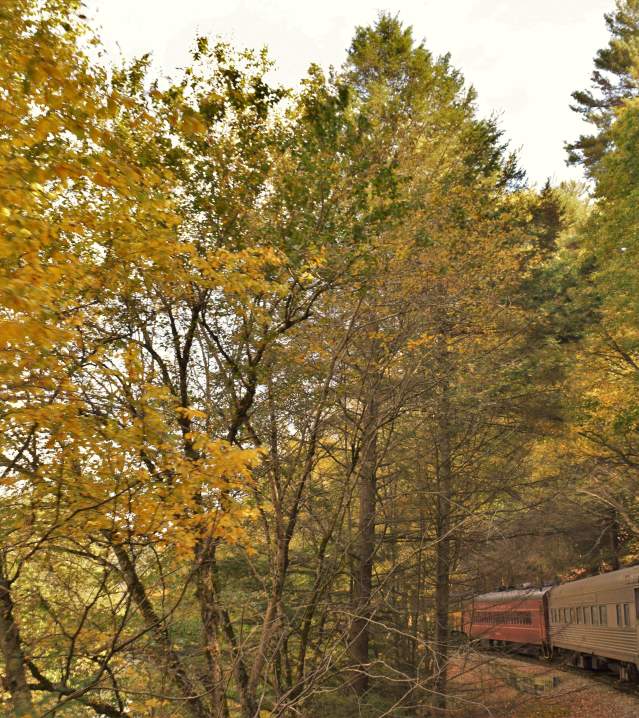 Scenic Fall Foliage Train Rides in the Poconos