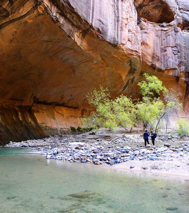 Hiking the Narrows in Zion National Park