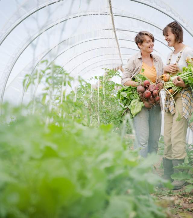 Two women stand in a greenhouse with fresh vegetables in their arms at Red Acre Farm CSA in Cedar City, Utah