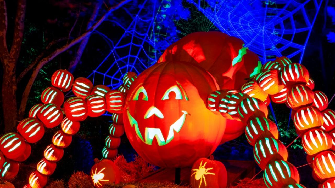 Pumpkins and Kentucky Kingdom