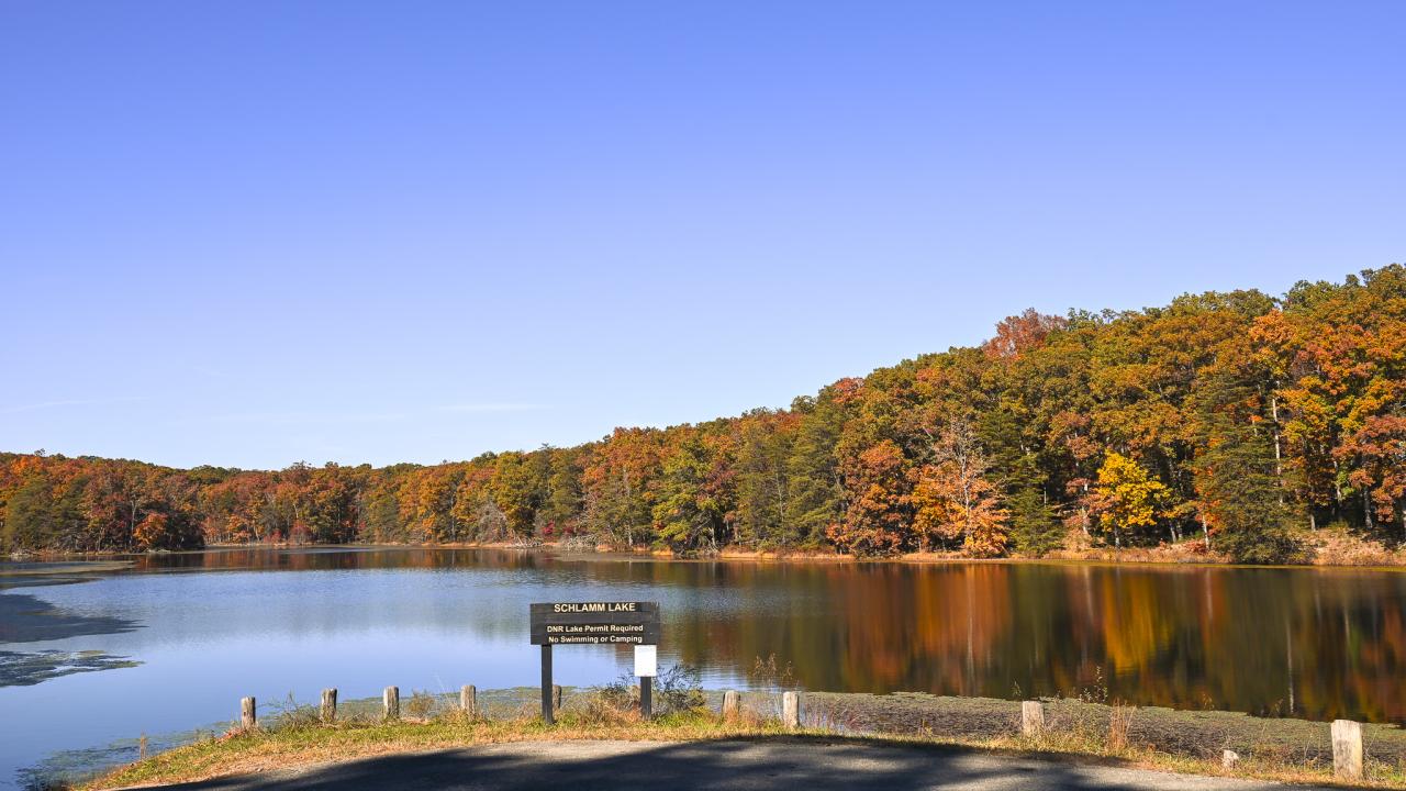 Clark State Forest