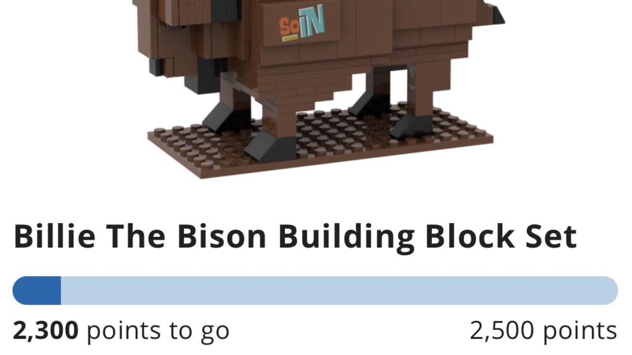 Billie the Bison Building Block Set