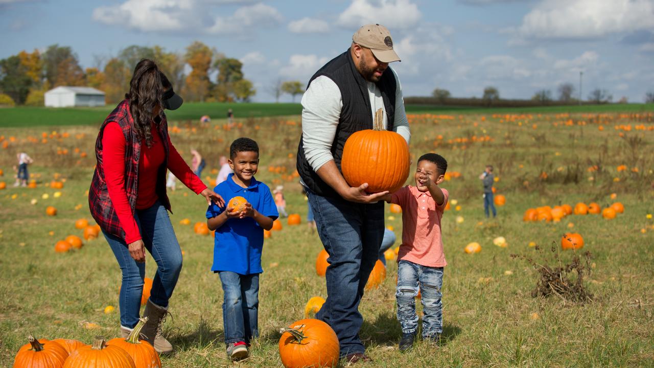 Joe Huber's Pumpkin Picking