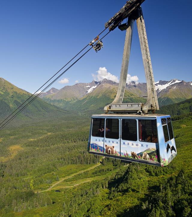 Alyeska store