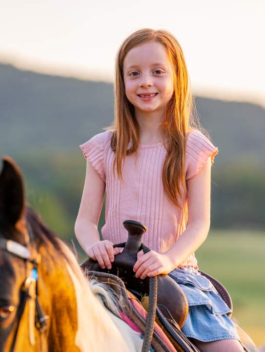 Jordan Hollow Stables