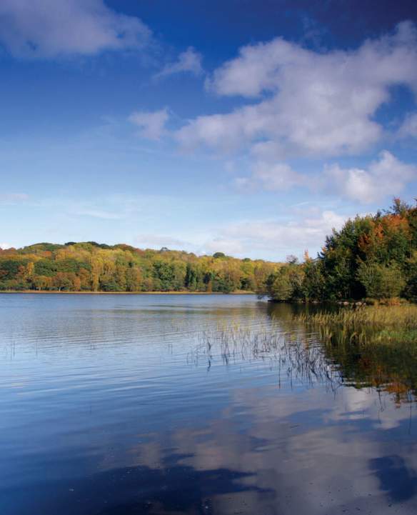 Stunning view of the water at Lower Lough Erne in County Fermanagh on a sunny day