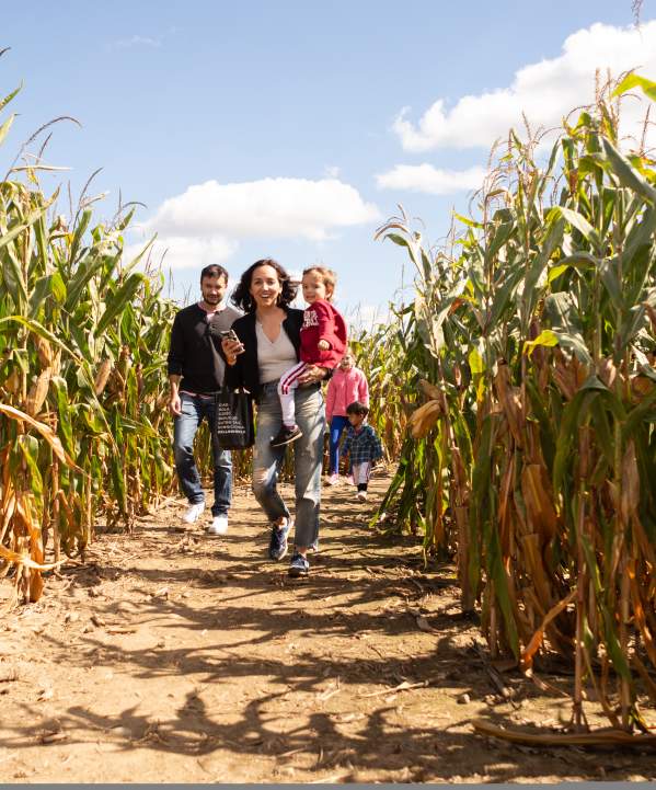 Family running through a Dexter corn maze