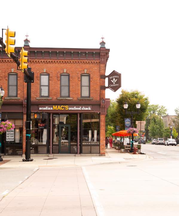 View of Downtown Saline, MI