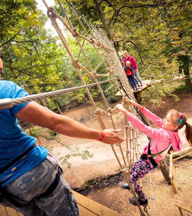 Go Ape