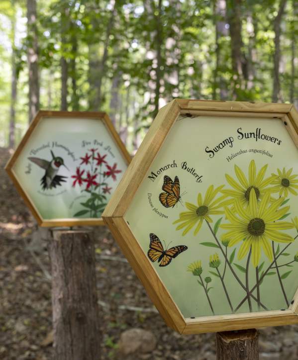 Wildlife Signs at Blackwood Farm Park