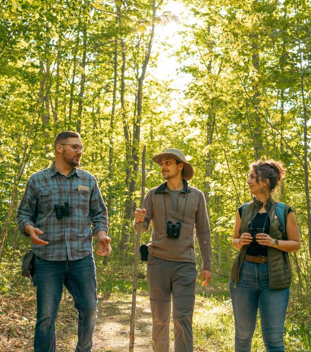 three people converse as they walk through a sun dappled forest. they are geared up with binoculars as if to watch birds