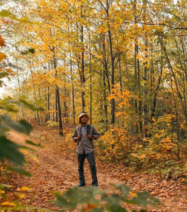Fall Hiker at Maasto Hiihto Trails