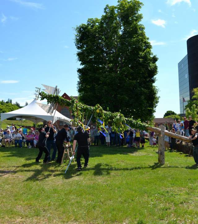 people gather to raise a birch wrapped midsummer pole