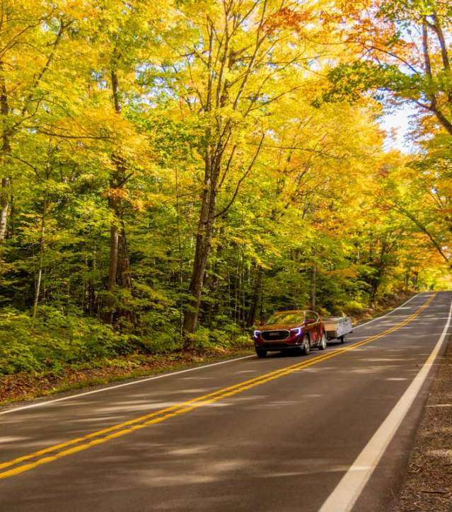 A red car drives under a bright canopy of leaves.